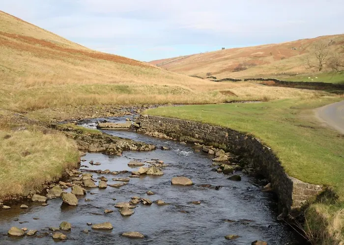 Bed & Breakfast Stores Dent